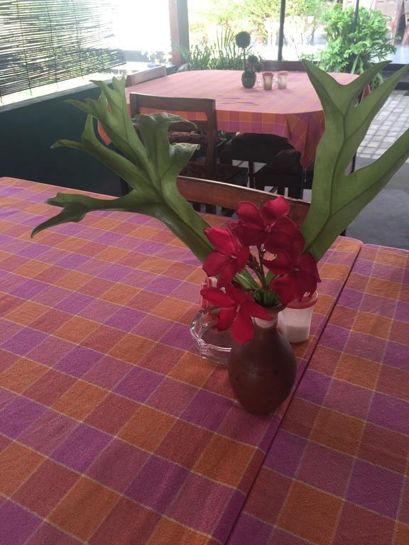 Bolonghes Homestay Negombo Extérieur photo